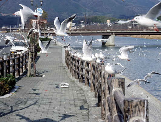 島田川