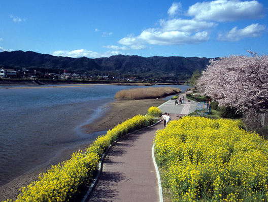 島田川